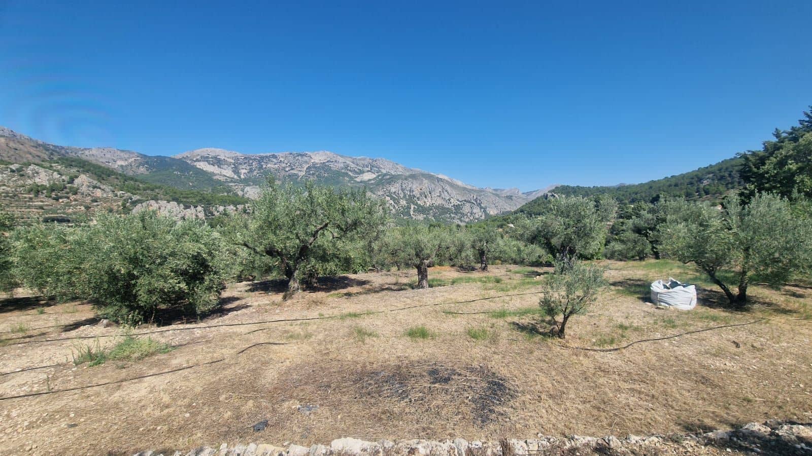 1 soveværelse Villa til salg i Confrides - € 130.000 (Ref: 8968013)