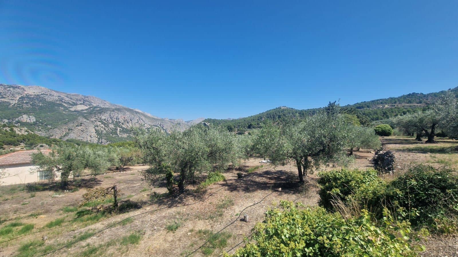 1 soveværelse Villa til salg i Confrides - € 130.000 (Ref: 8968013)