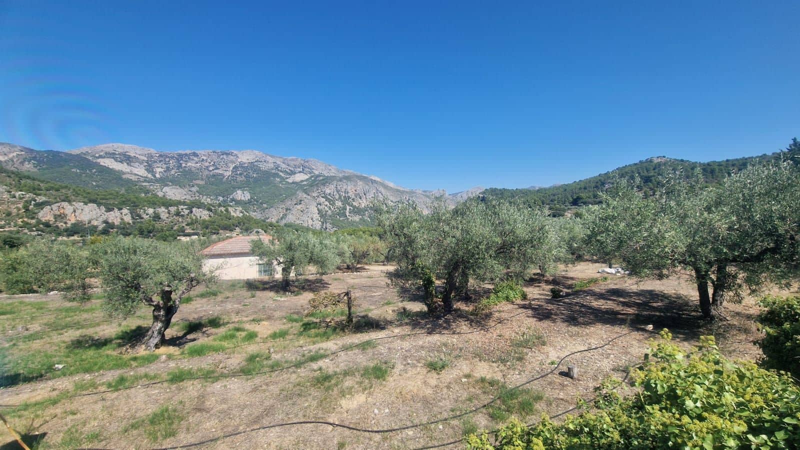 1 soveværelse Villa til salg i Confrides - € 130.000 (Ref: 8968013)