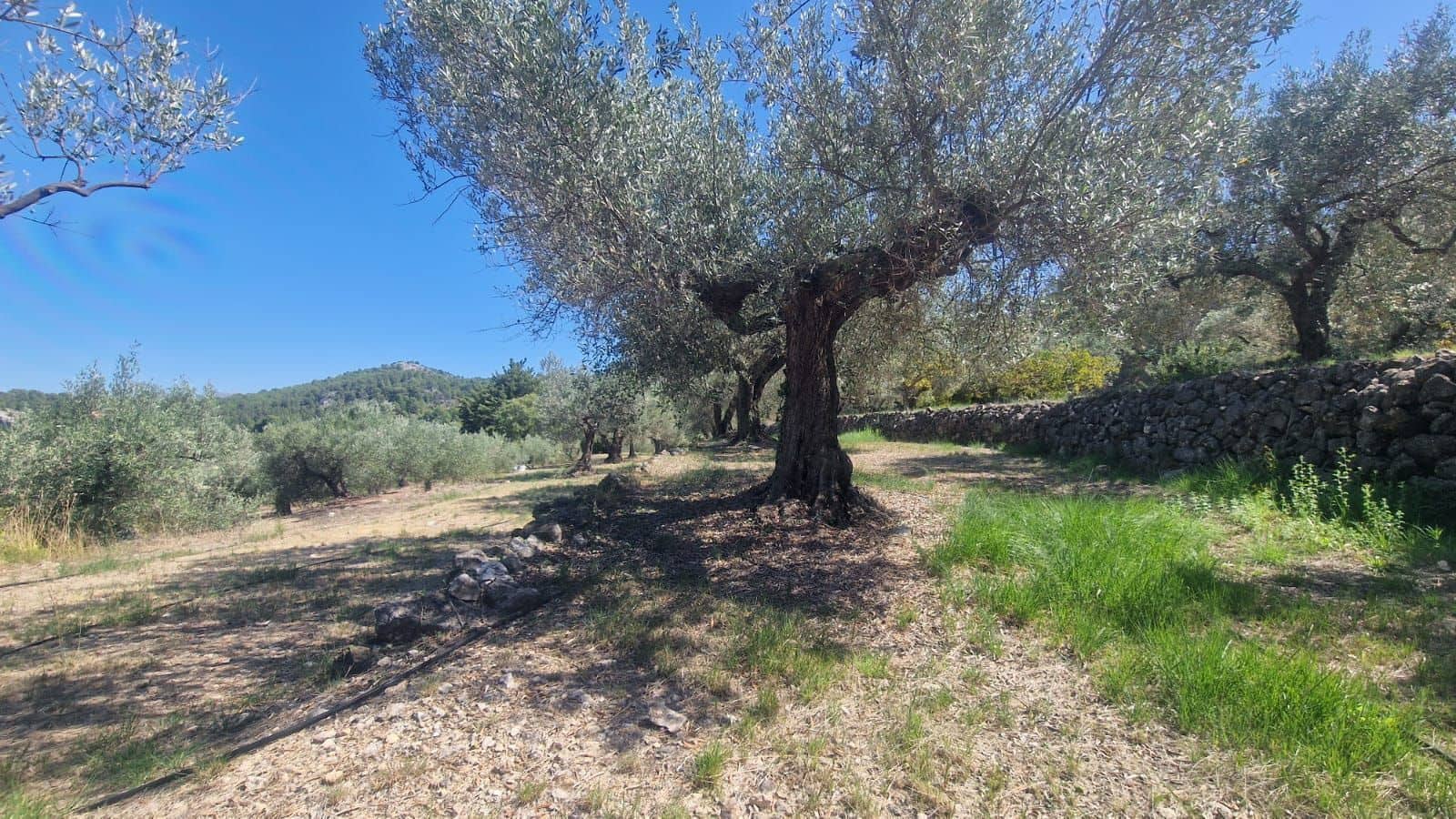 1 soveværelse Villa til salg i Confrides - € 130.000 (Ref: 8968013)