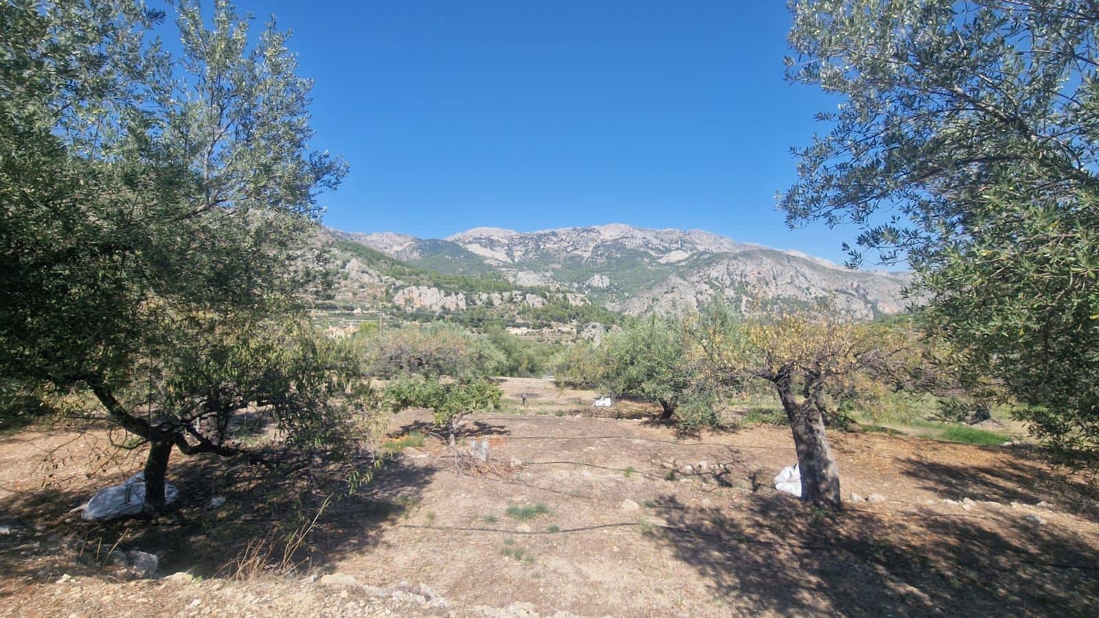 1 soveværelse Villa til salg i Confrides - € 130.000 (Ref: 8968013)