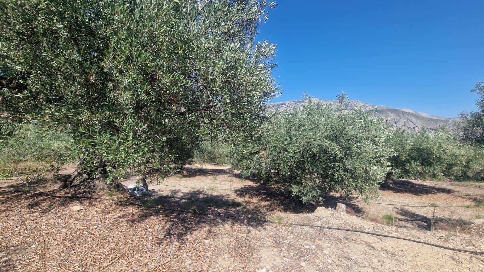 1 soveværelse Villa til salg i Confrides - € 130.000 (Ref: 8968013)