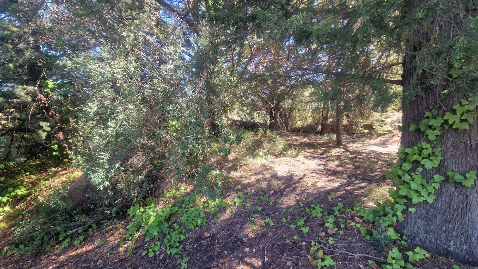 1 soveværelse Villa til salg i Confrides - € 130.000 (Ref: 8968013)