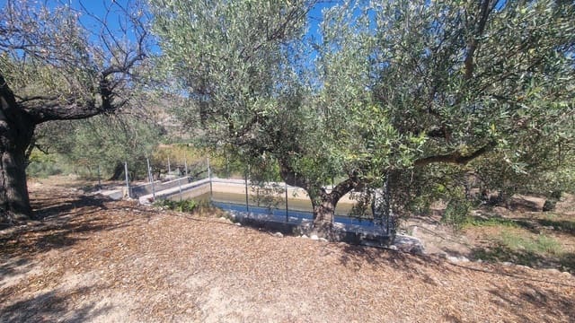 1 soveværelse Villa til salg i Confrides - € 130.000 (Ref: 8968013)