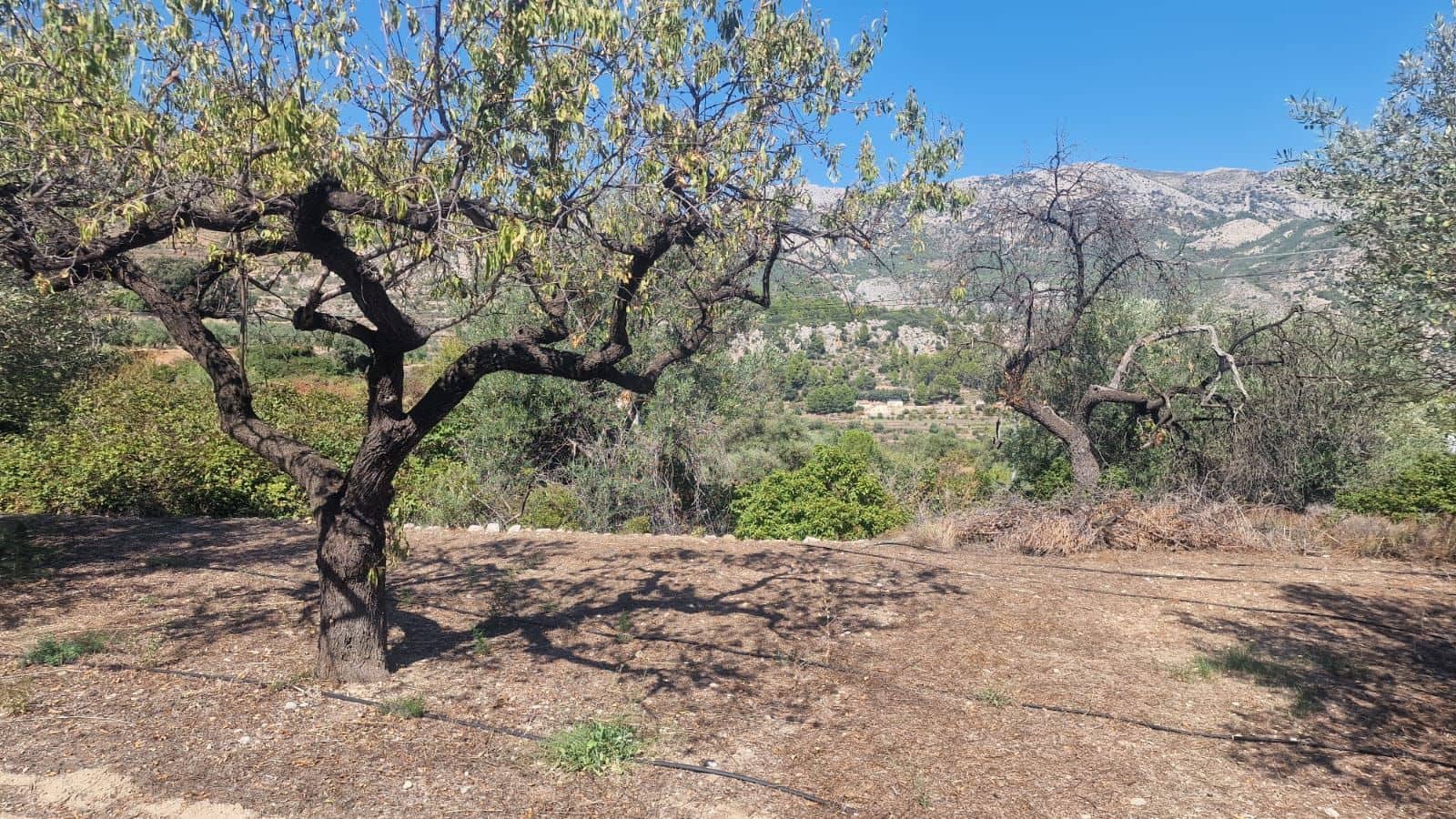 1 soveværelse Villa til salg i Confrides - € 130.000 (Ref: 8968013)