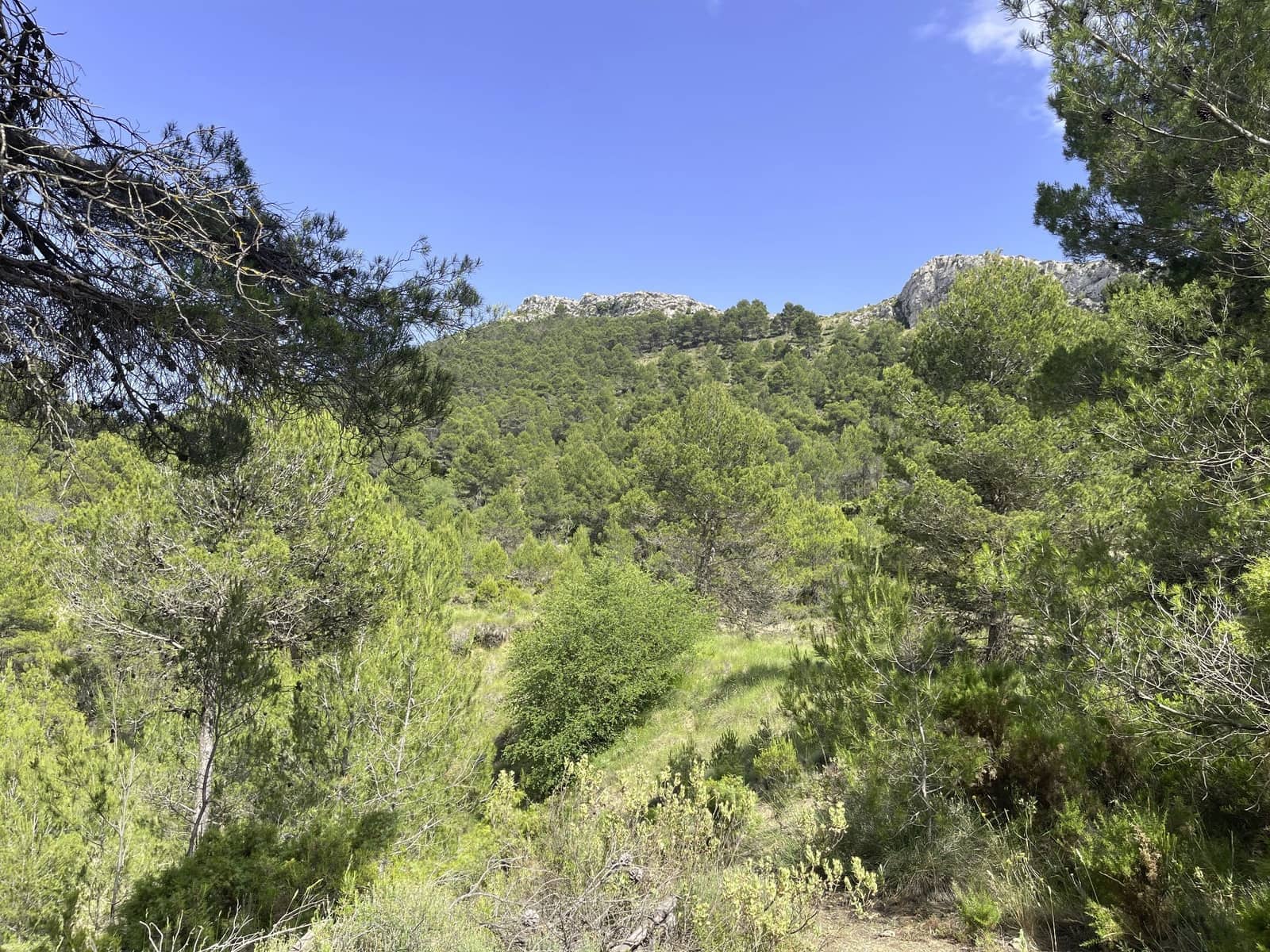 1 bedroom Villa for sale in Confrides - € 69,000 (Ref: 9447384)