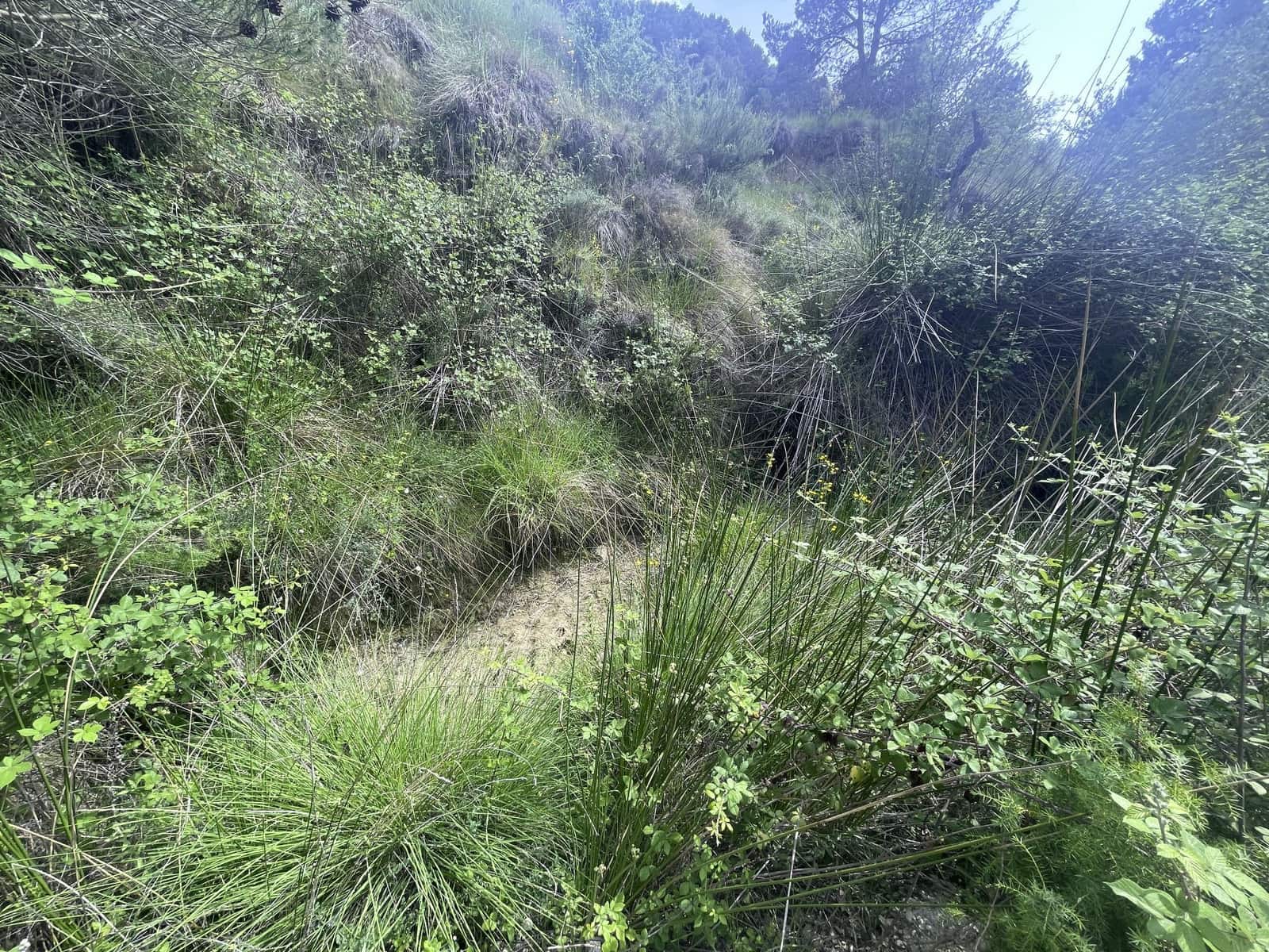 1 bedroom Villa for sale in Confrides - € 69,000 (Ref: 9447384)