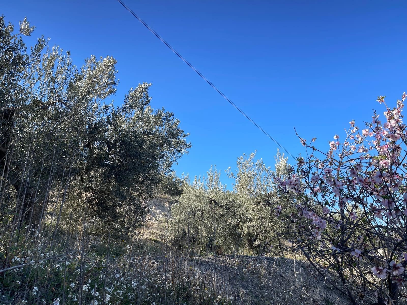 Landgrundstück zu verkaufen in Benimantell - 65.000 € (Ref: 9447385)