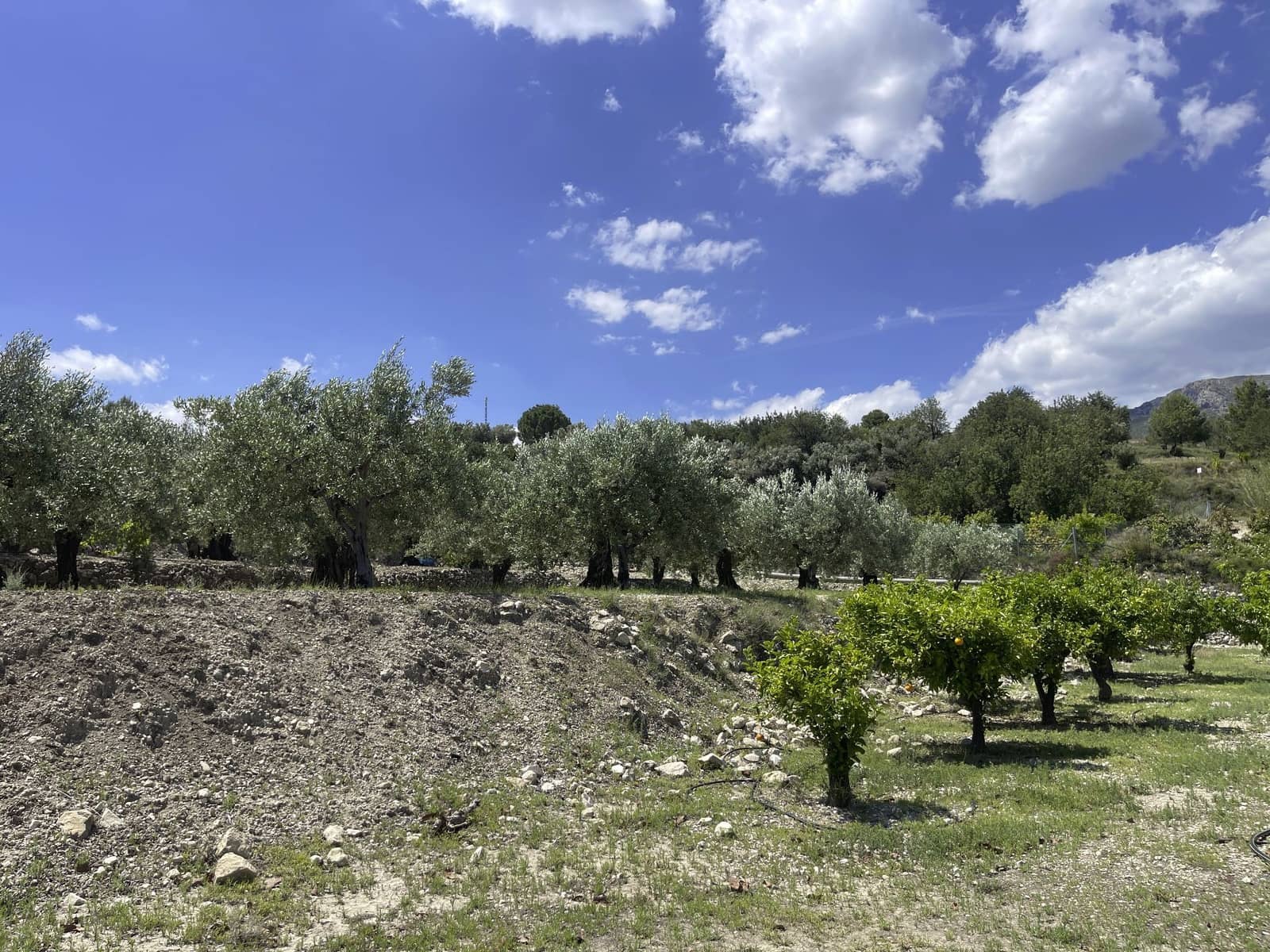 Undeveloped Land for sale in Beniarda - € 48,000 (Ref: 9844911)