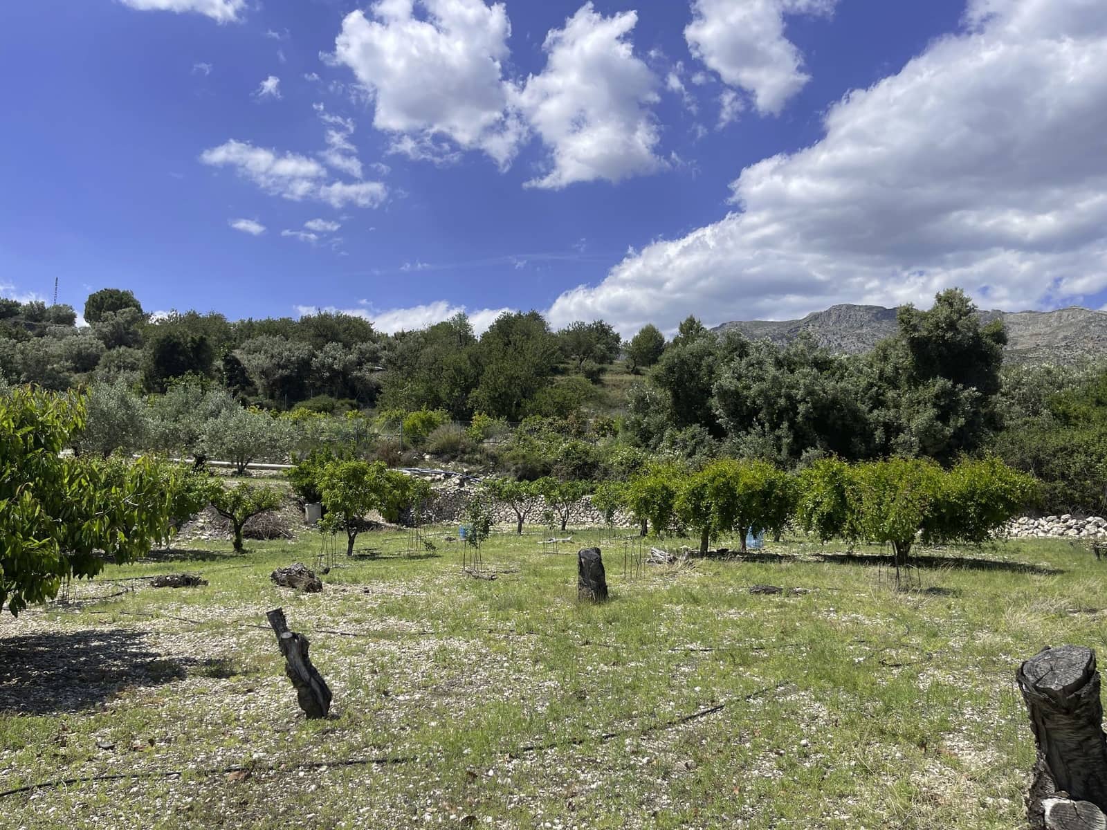 Undeveloped Land for sale in Beniarda - € 48,000 (Ref: 9844911)