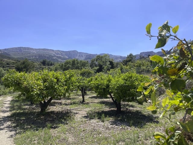 Undeveloped Land for sale in Beniardá - € 48,000 (Ref: 9844911)
