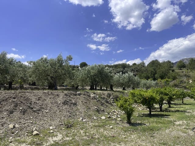 Undeveloped Land for sale in Beniardá - € 48,000 (Ref: 9844911)