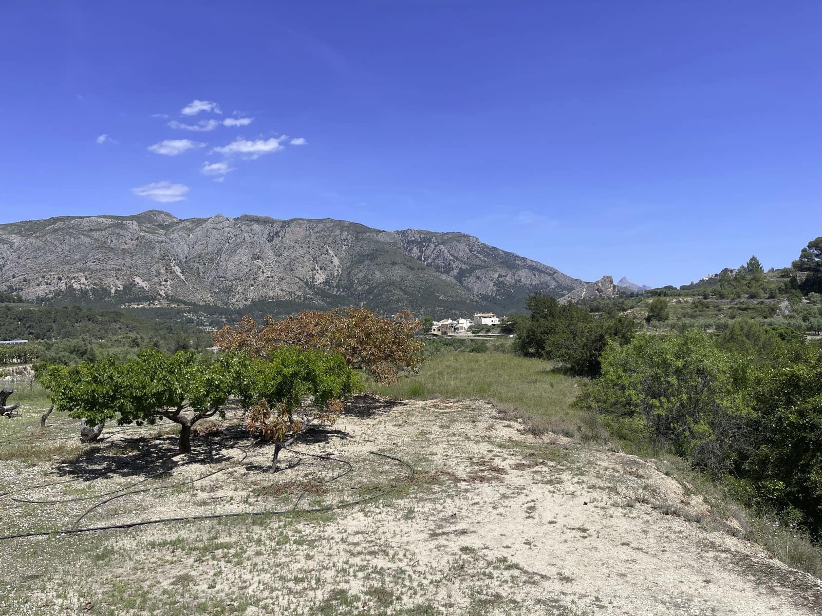 Undeveloped Land for sale in Beniarda - € 48,000 (Ref: 9844911)