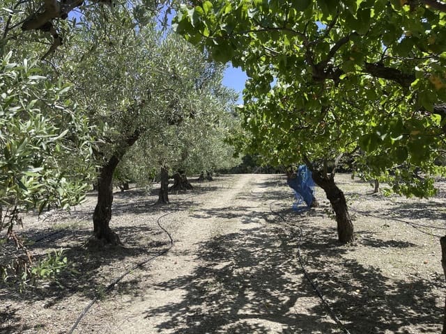 Undeveloped Land for sale in Beniardá - € 48,000 (Ref: 9844911)
