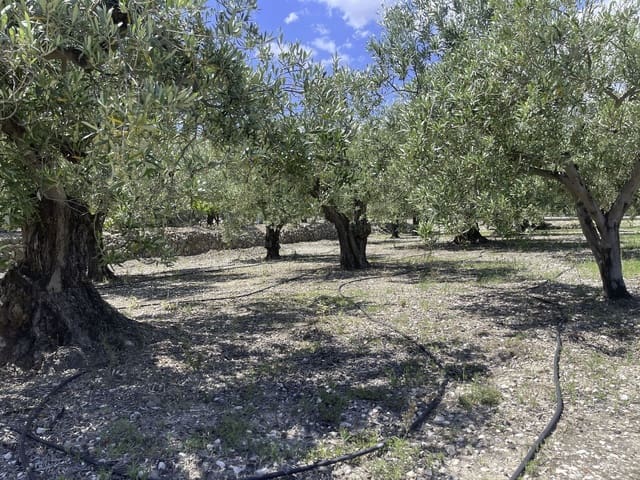 Undeveloped Land for sale in Beniardá - € 48,000 (Ref: 9844911)