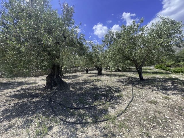 Undeveloped Land for sale in Beniardá - € 48,000 (Ref: 9844911)