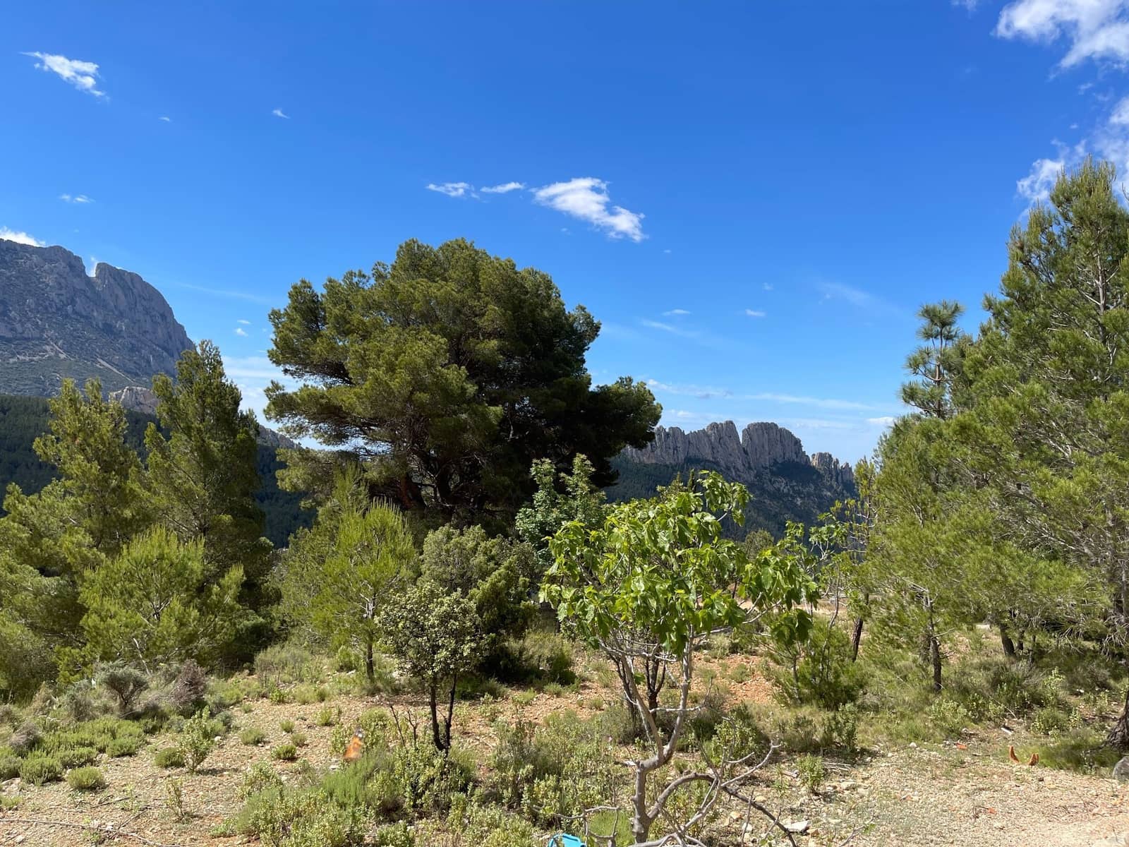 4 soveværelse Villa til salg i Sella - € 135.000 (Ref: 9943897)