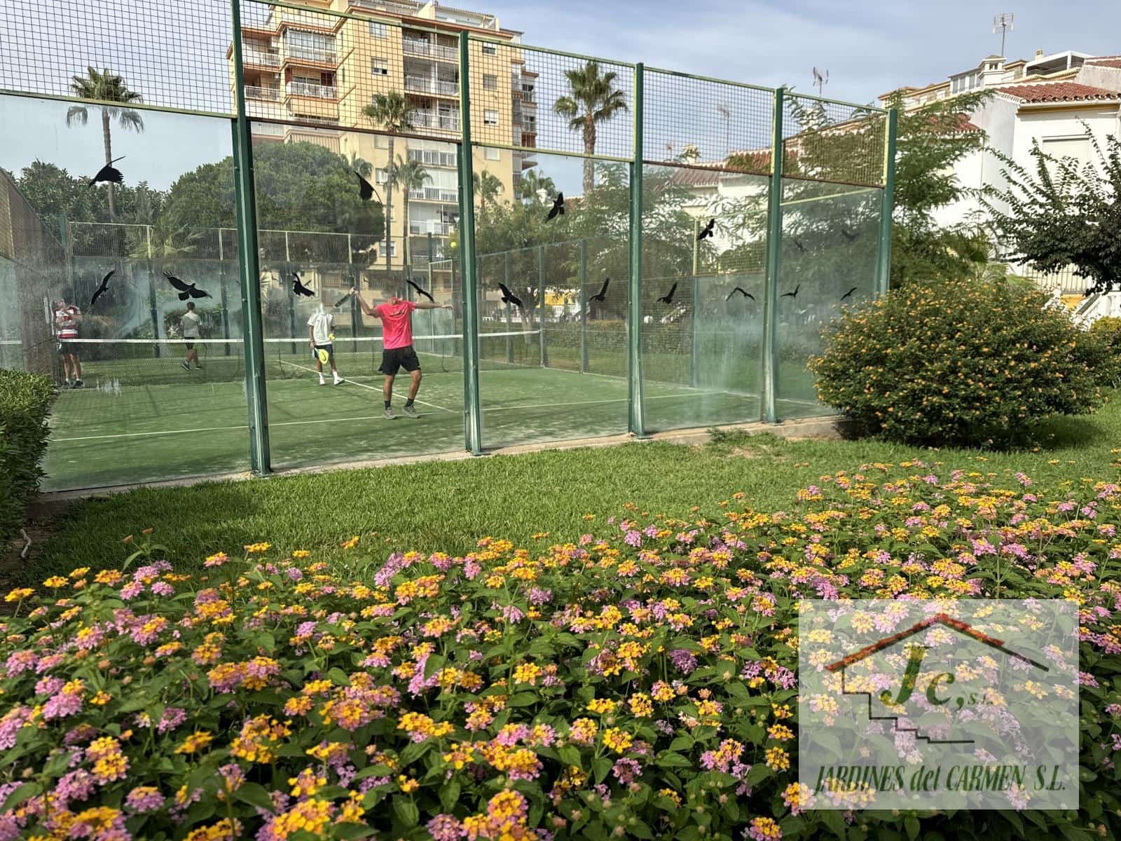 1 sypialnia Mieszkanie do wynajęcia w Torrox-Costa z basenem - 600 € (Ref: 10024929)