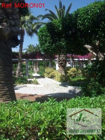 2 bedroom Flat for rent in Torrox-Costa with pool - € 700 (Ref: 5125493)
