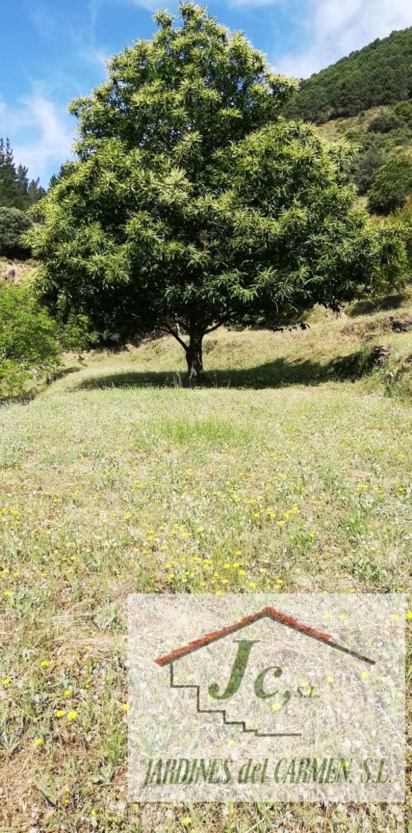 1 soveværelse Finca/Landehus til salg i Canillas de Albaida - € 79.900 (Ref: 8826547)