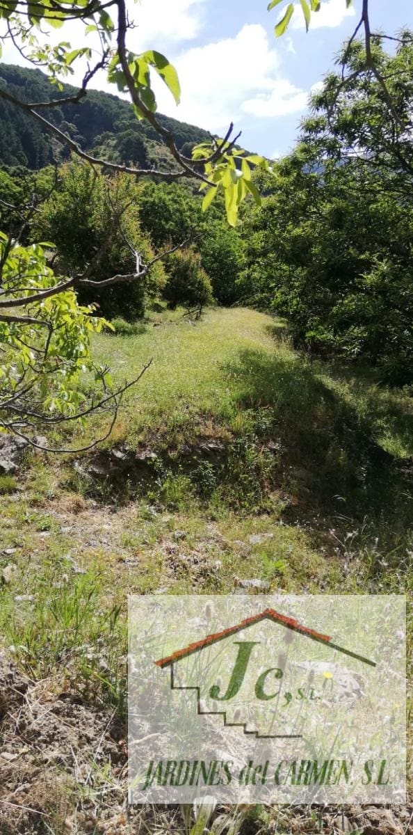 1 soveværelse Finca/Landehus til salg i Canillas de Albaida - € 79.900 (Ref: 8826547)