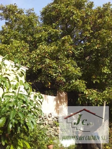 1 chambre Finca/Maison de Campagne à vendre à Canillas de Albaida - 79 900 € (Ref: 8826547)