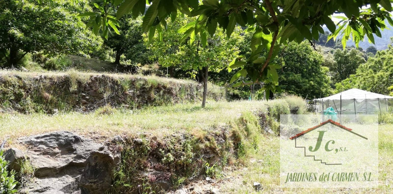 1 soveværelse Finca/Landehus til salg i Canillas de Albaida - € 79.900 (Ref: 8826547)