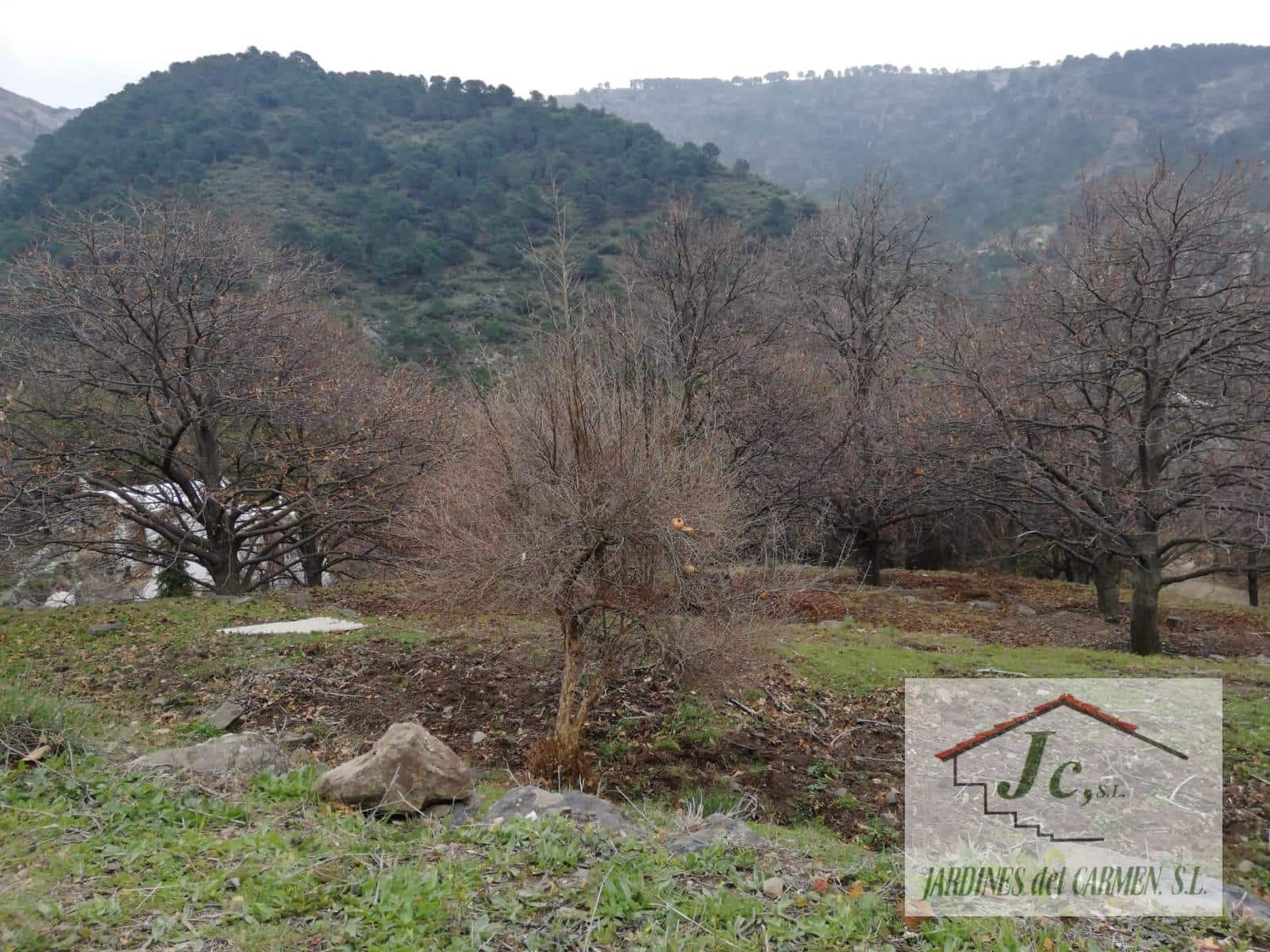 1 soveværelse Finca/Landehus til salg i Canillas de Albaida - € 79.900 (Ref: 8826547)