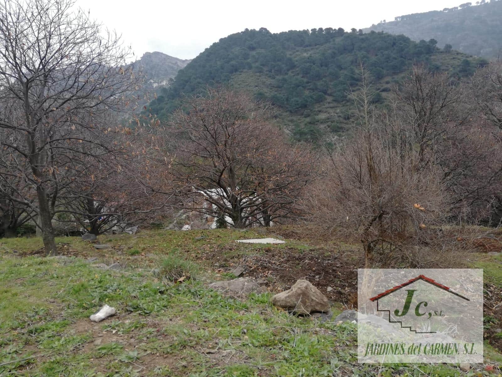 1 soveværelse Finca/Landehus til salg i Canillas de Albaida - € 79.900 (Ref: 8826547)