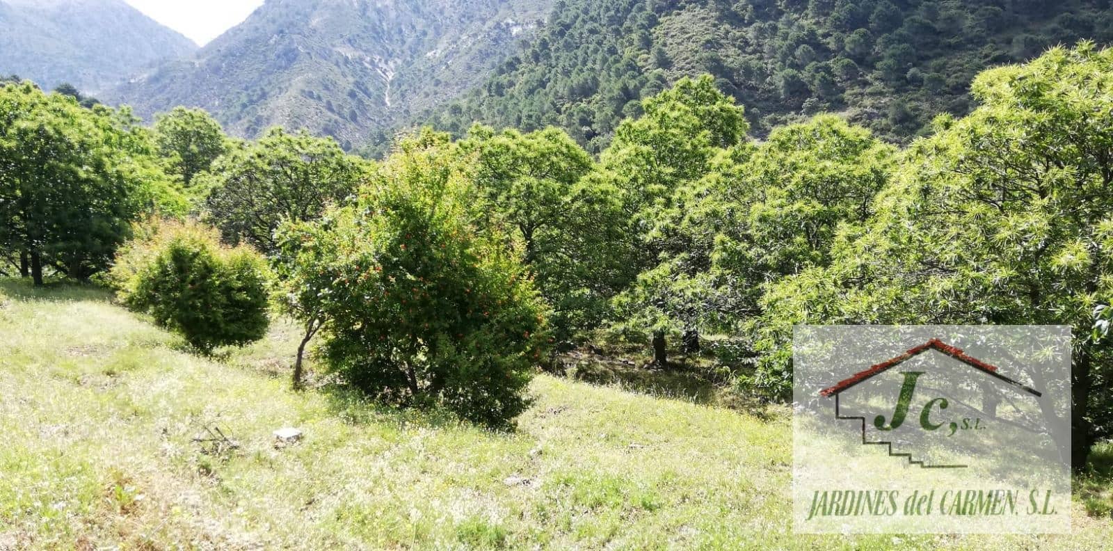 1 soveværelse Finca/Landehus til salg i Canillas de Albaida - € 79.900 (Ref: 8826547)