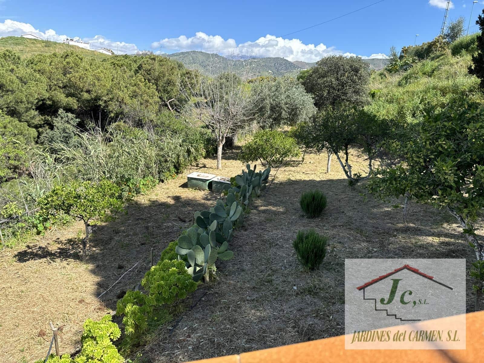 4 bedroom Finca/Country House for sale in Velez-Malaga - € 395,000 (Ref: 8925262)