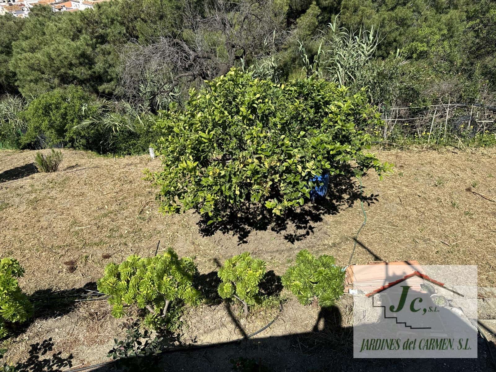 4 bedroom Finca/Country House for sale in Velez-Malaga - € 395,000 (Ref: 8925262)