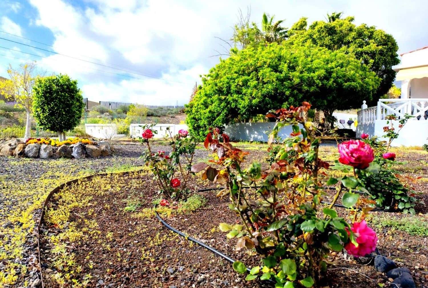 5 quarto Quinta/Casa Rural para venda em Playa San Juan com garagem - 977 000 € (Ref: 9246323)