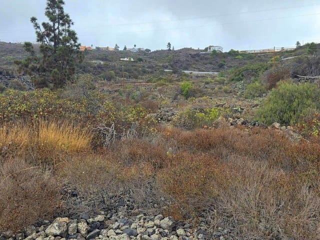 Undeveloped Land for sale in Santa Cruz de Tenerife - € 35,000 (Ref: 9288026)