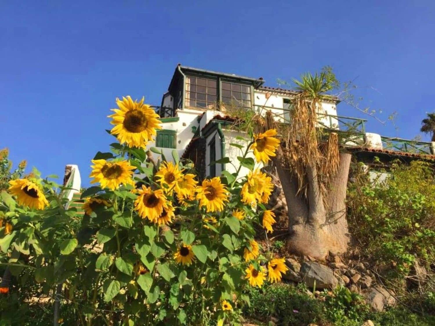 Finca/Casa Rural de 8 habitaciones en Guía de Isora en venta con garaje - 860.000 € (Ref: 9533212)