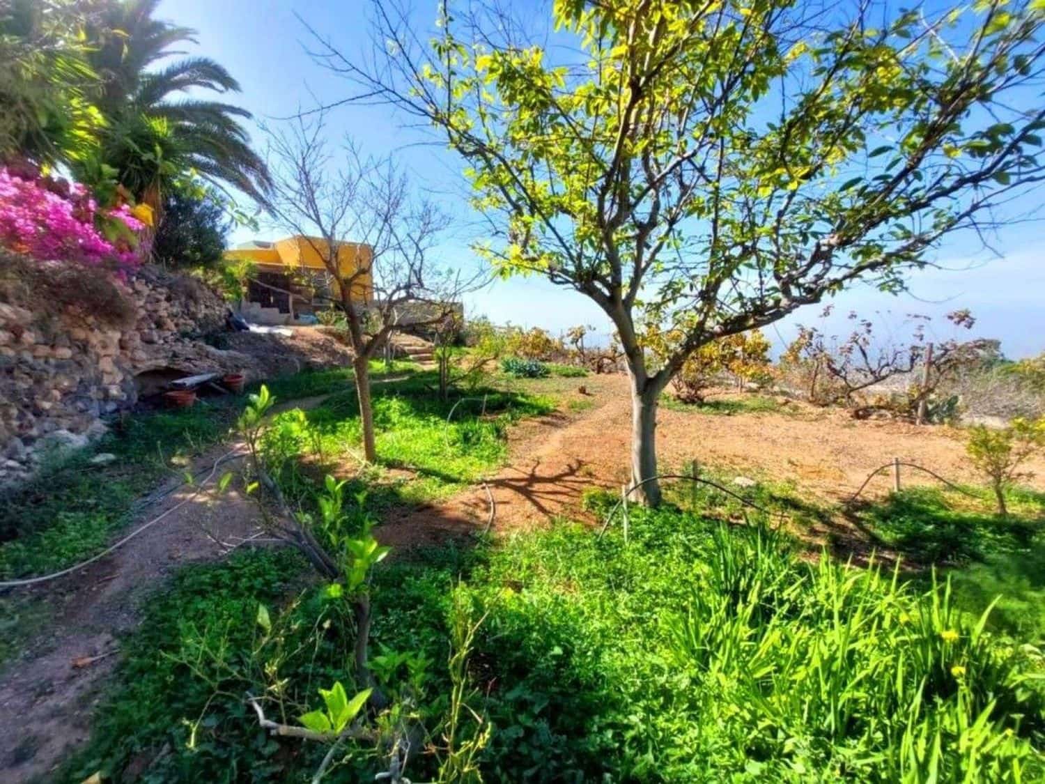 Finca/Casa Rural de 8 habitaciones en Guía de Isora en venta con garaje - 860.000 € (Ref: 9533212)