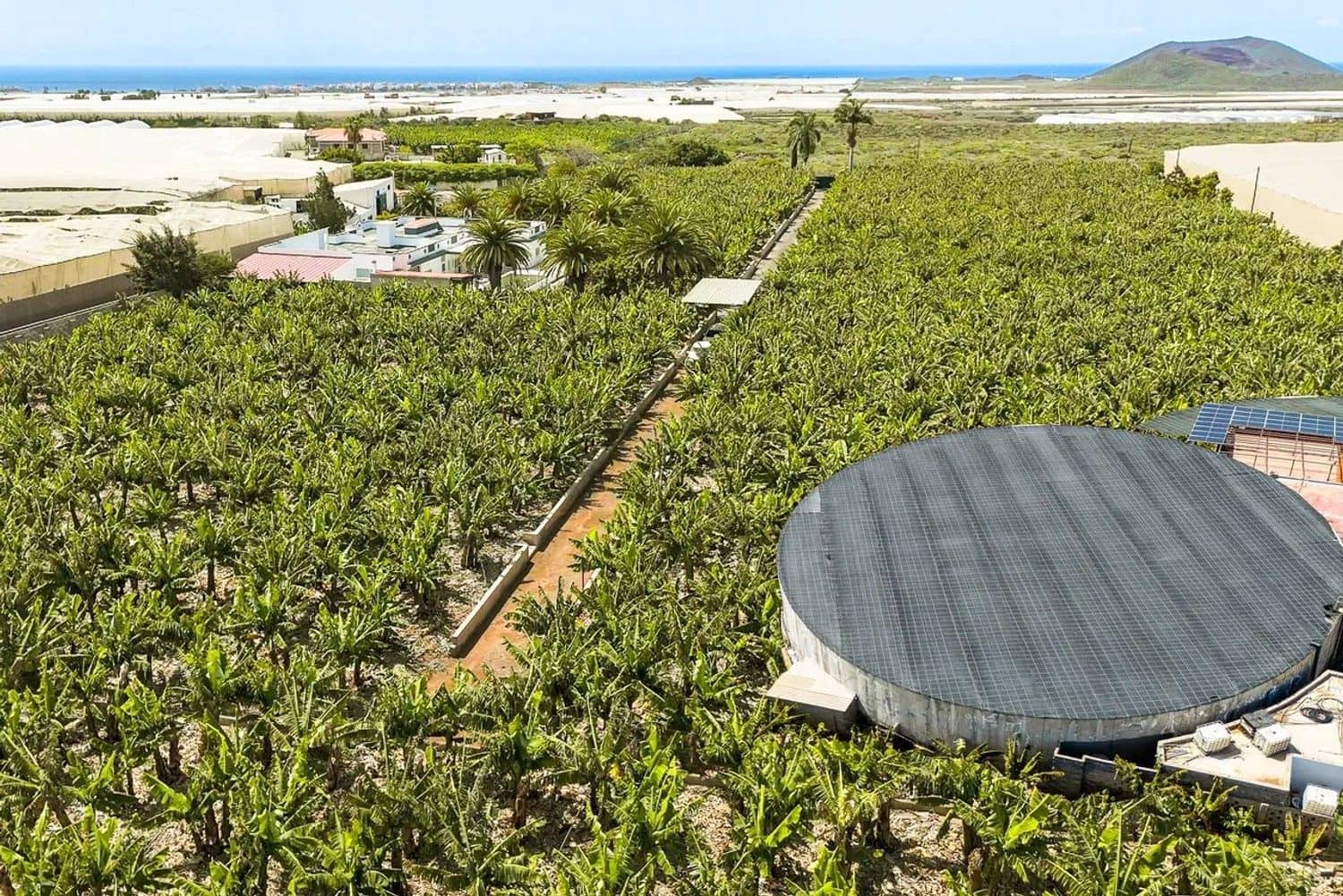 Finca/Casa Rural de 7 habitaciones en Arona en venta con piscina garaje - 1.880.000 € (Ref: 9806083)