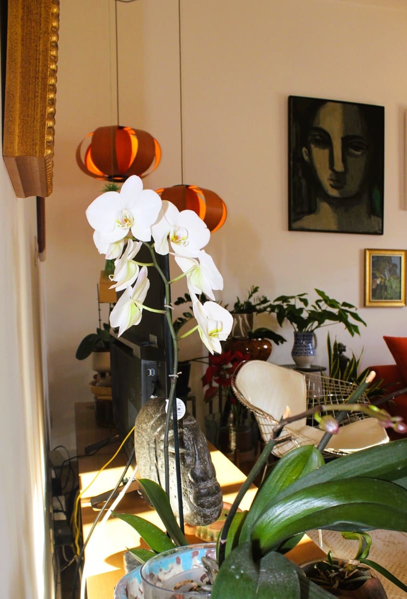 2 camera da letto Appartamento in vendita in Palma de Mallorca con garage - 680.000 € (Rif: 10041546)