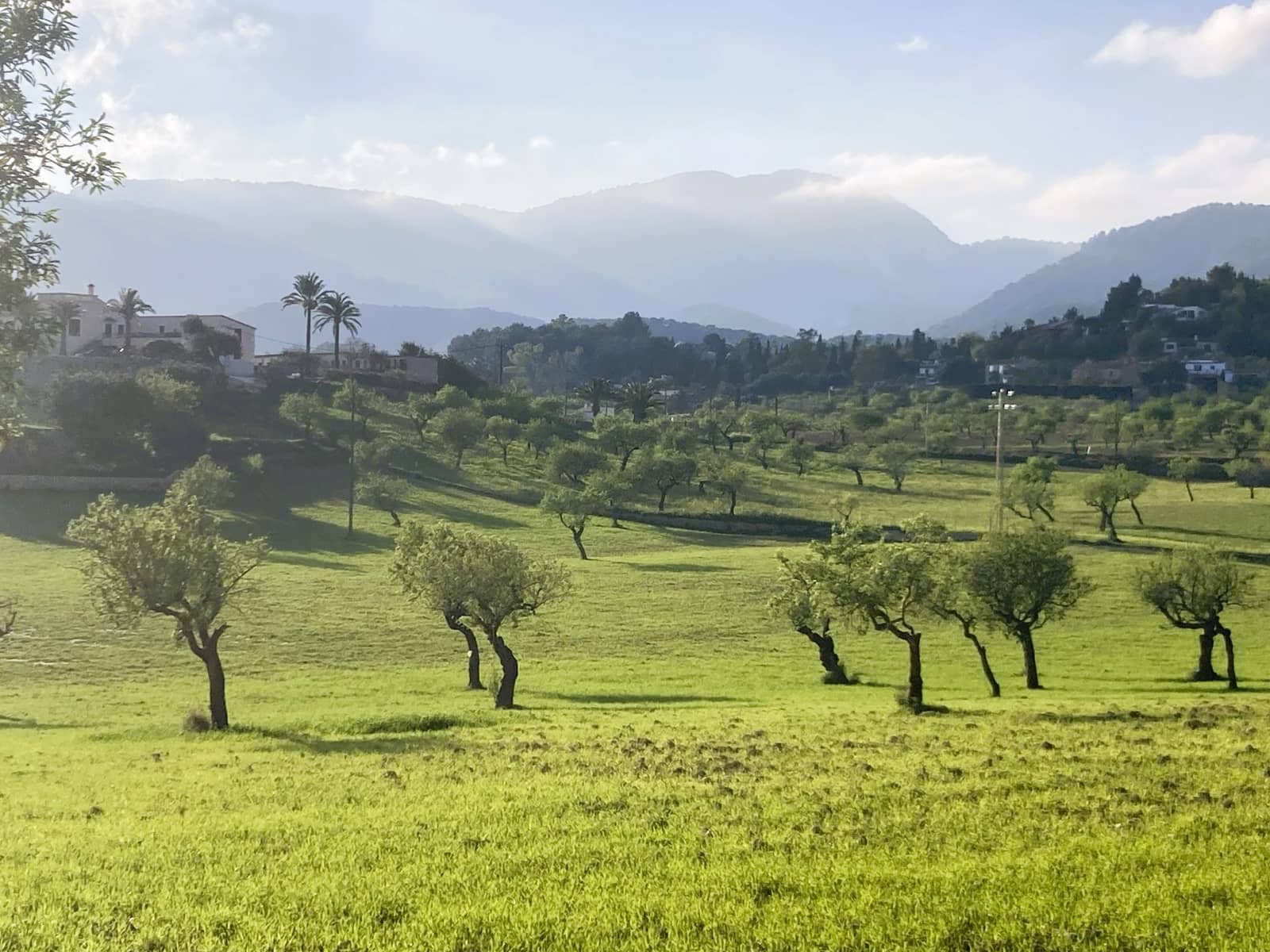 Undeveloped Land for sale in Establiments - € 1,350,000 (Ref: 9836746)