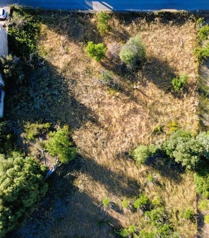Area Edificabile in vendita in Establiments, Palma de Mallorca - 1.350.000 € (Rif: 9889493)
