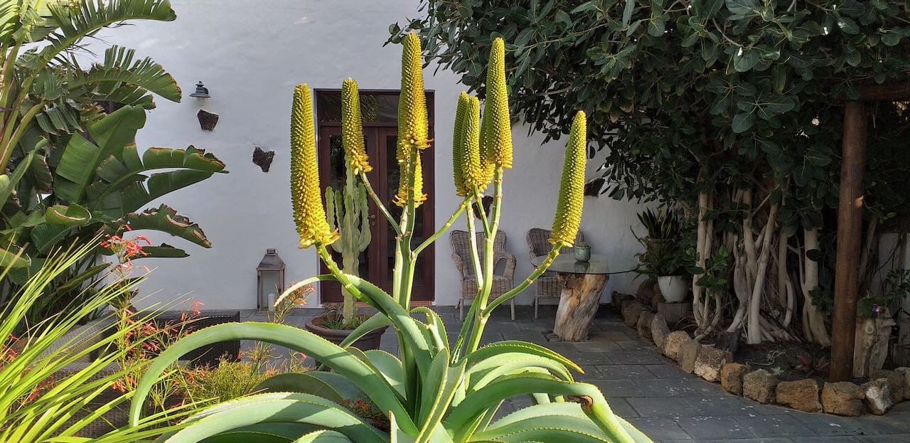 4 Zimmer Finca/Landgut zu verkaufen in Guatiza - 575.000 € (Ref: 10059456)