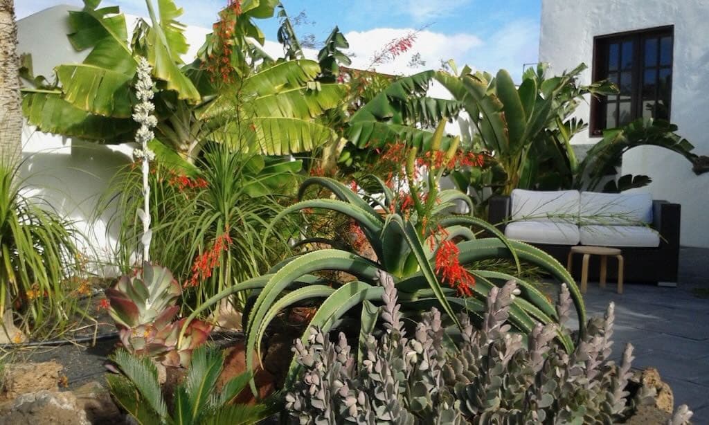4 Zimmer Finca/Landgut zu verkaufen in Guatiza - 575.000 € (Ref: 10059456)