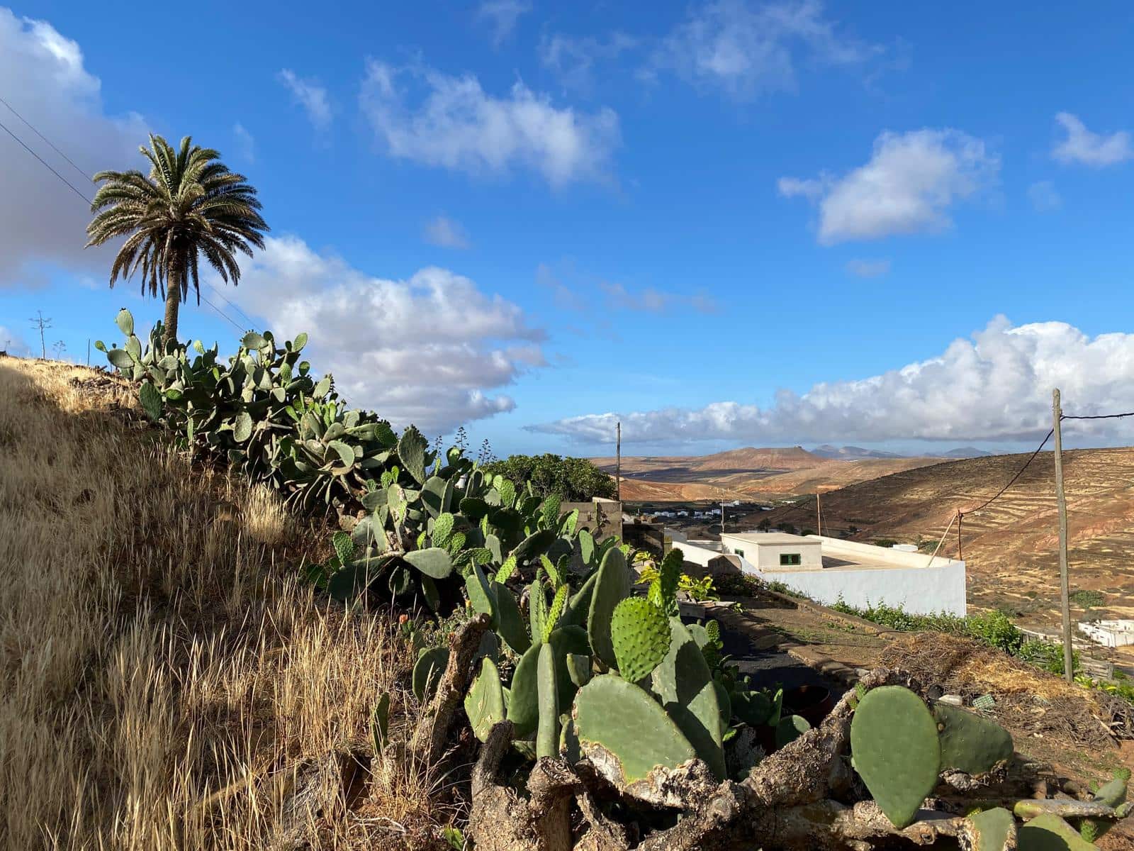 Grunde uden byggetilladelser til salg i Los Valles - € 160.000 (Ref: 8942089)