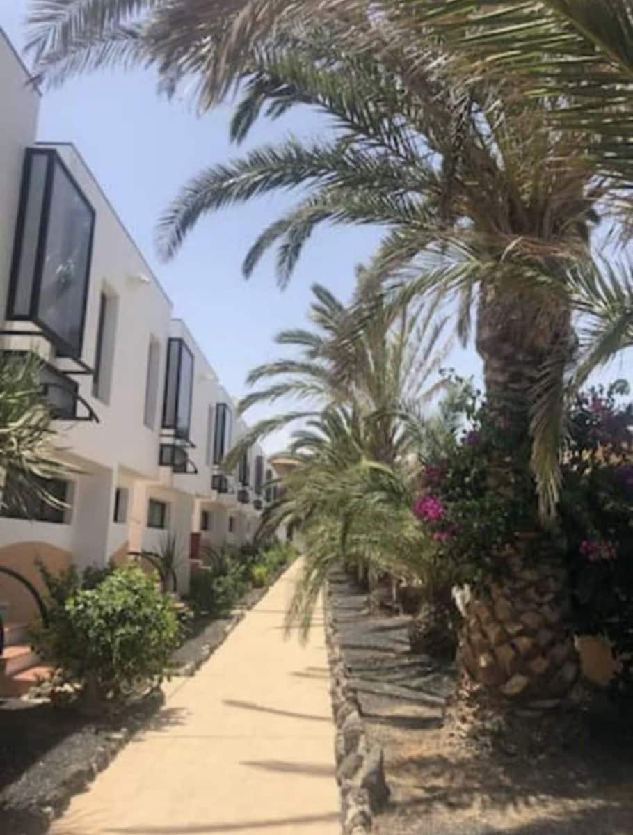 1 slaapkamer Appartement te koop in Costa de Antigua met zwembad - € 129.950 (Ref: 9154664)