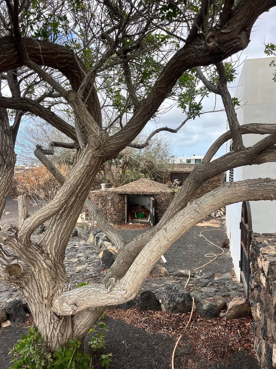 5 bedroom Finca/Country House for sale in Yaiza with pool garage - € 950,000 (Ref: 9525551)