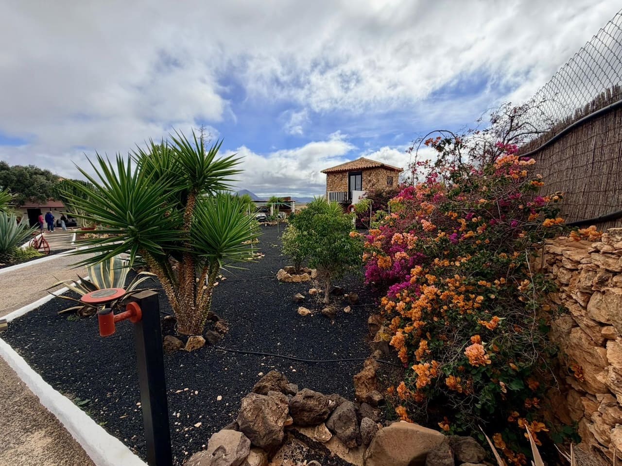 7 slaapkamer Finca/Landhuis te koop in Casillas de Morales met zwembad garage - € 619.000 (Ref: 9550206)