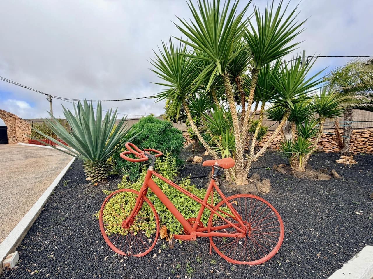 7 slaapkamer Finca/Landhuis te koop in Casillas de Morales met zwembad garage - € 619.000 (Ref: 9550206)