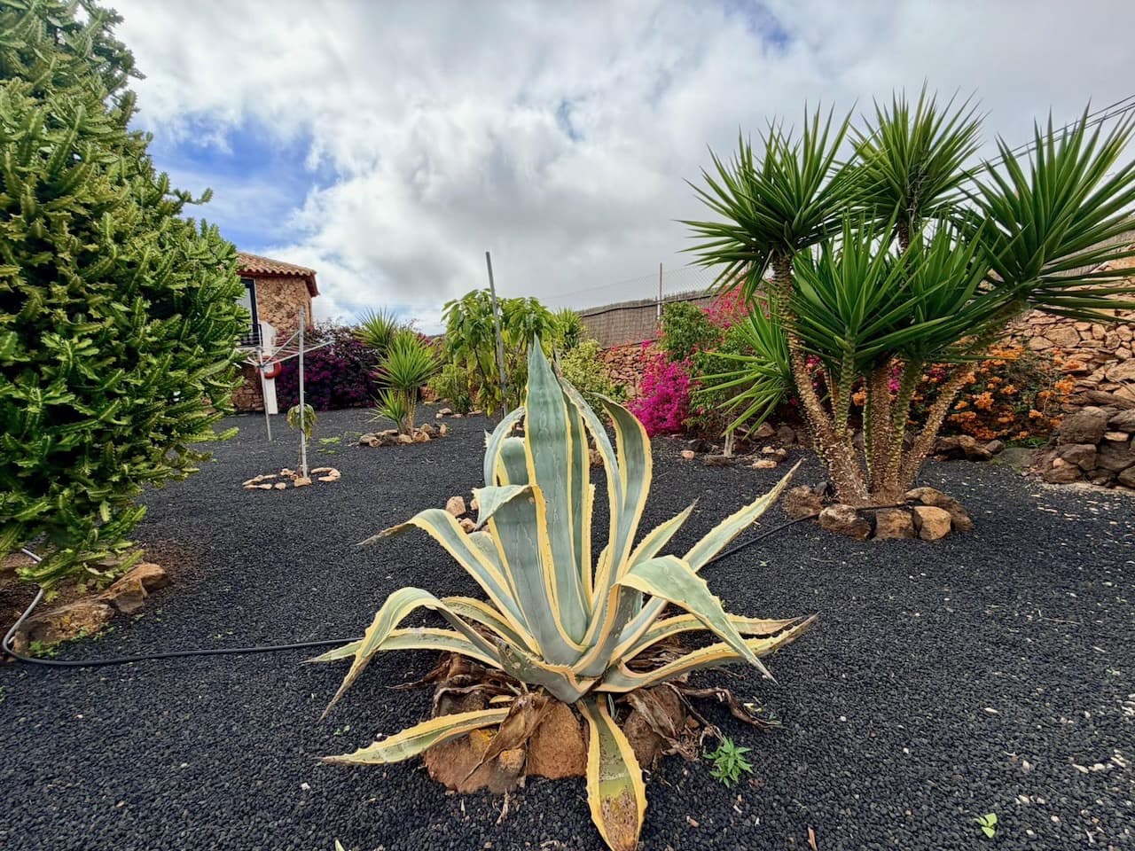 7 slaapkamer Finca/Landhuis te koop in Casillas de Morales met zwembad garage - € 619.000 (Ref: 9550206)