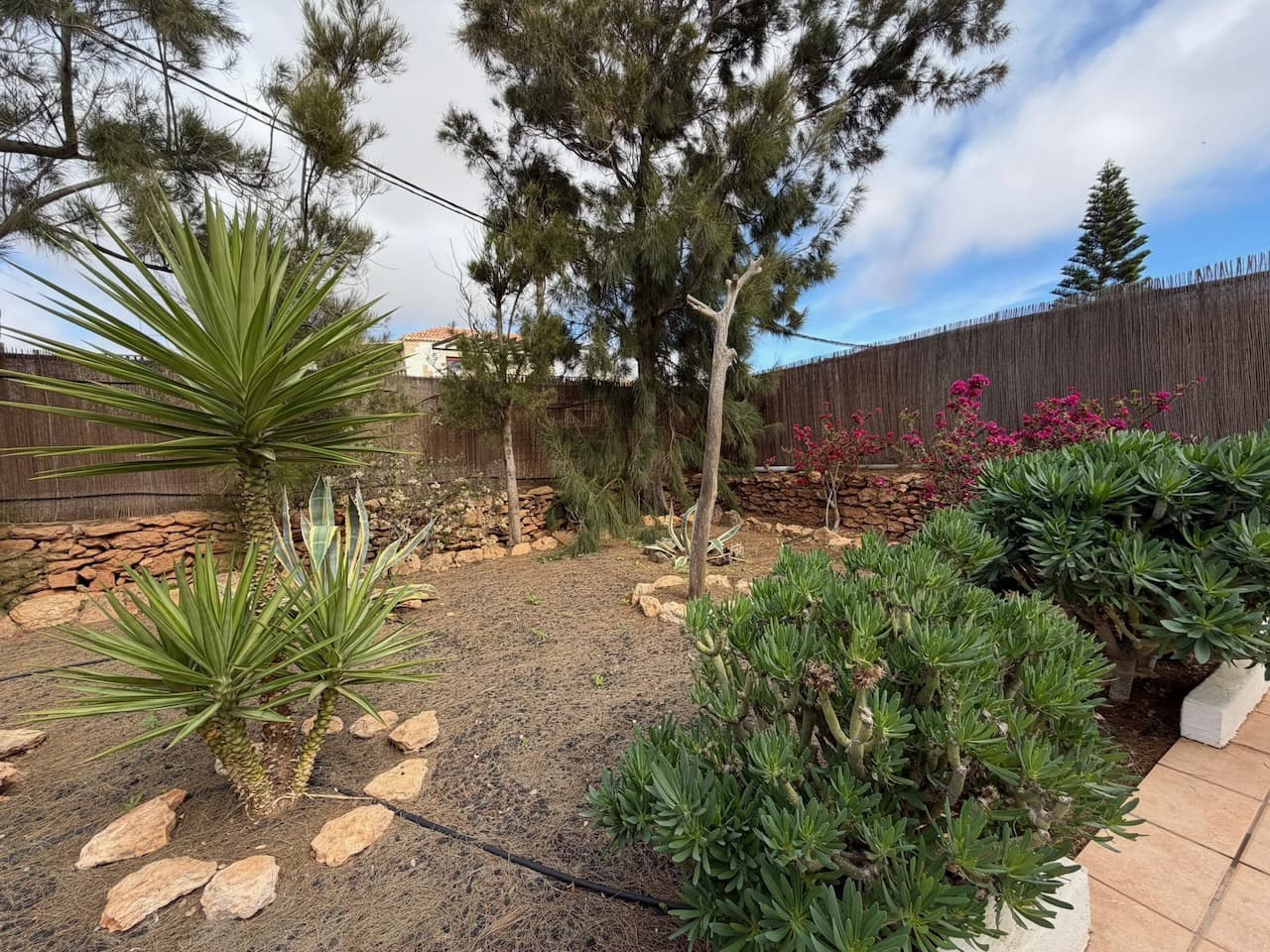 7 slaapkamer Finca/Landhuis te koop in Casillas de Morales met zwembad garage - € 619.000 (Ref: 9550206)