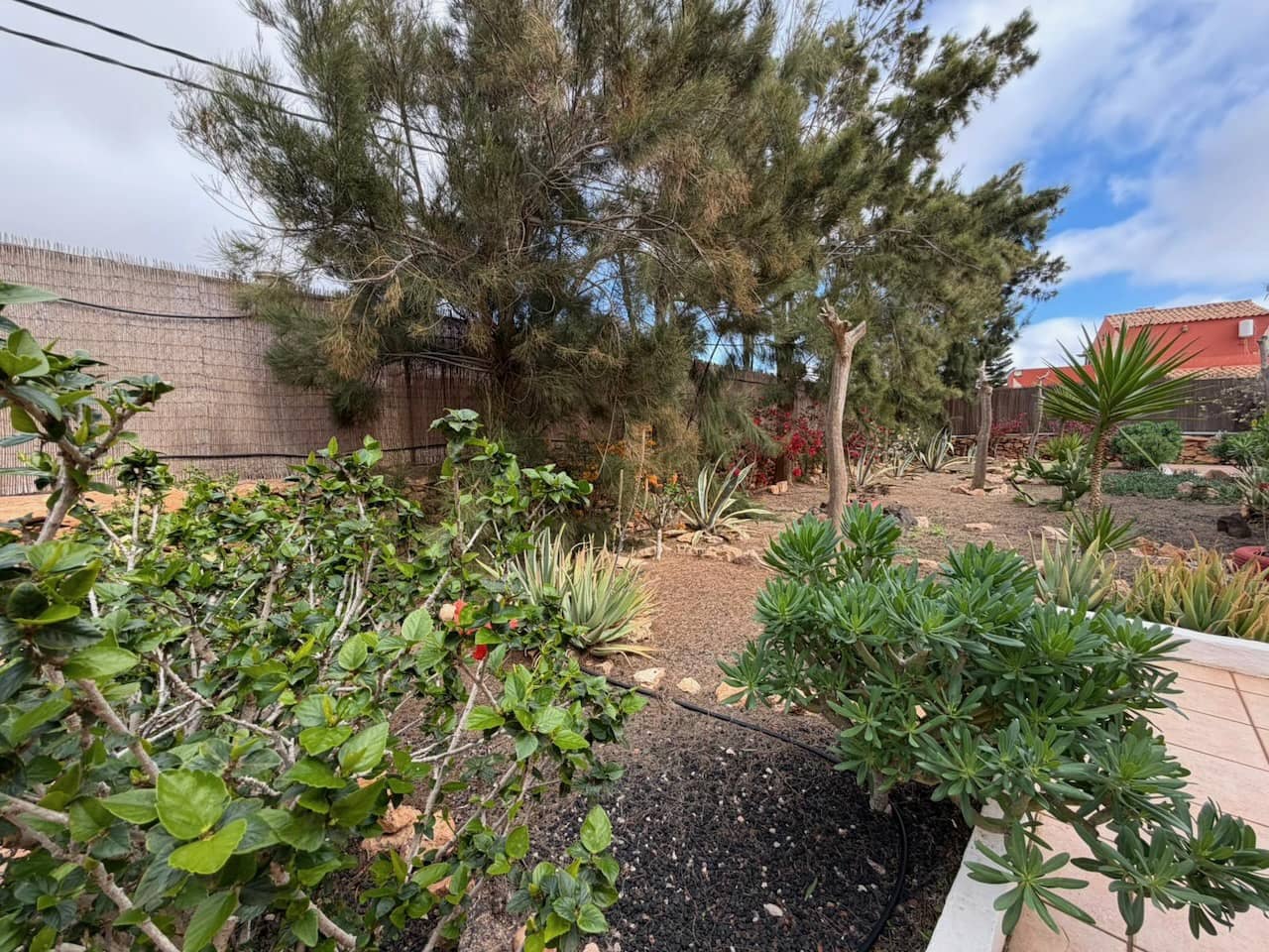 7 slaapkamer Finca/Landhuis te koop in Casillas de Morales met zwembad garage - € 619.000 (Ref: 9550206)